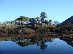 Islets within Bunsby Islands, BC